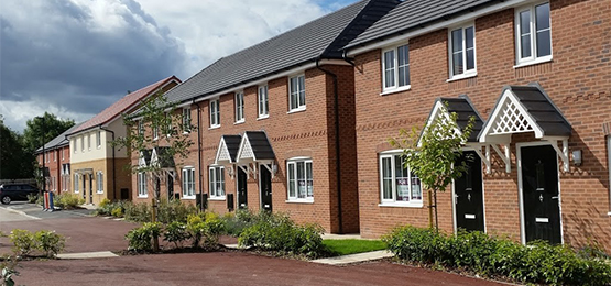 Homepage Bulk Canopy Section